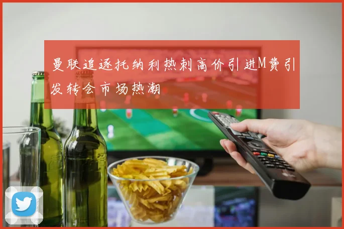 曼联追逐托纳利热刺高价引进M费引发转会市场热潮
