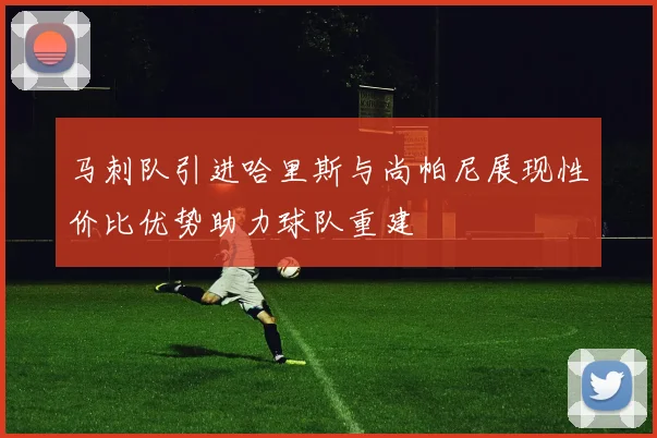 马刺队引进哈里斯与尚帕尼展现性价比优势助力球队重建