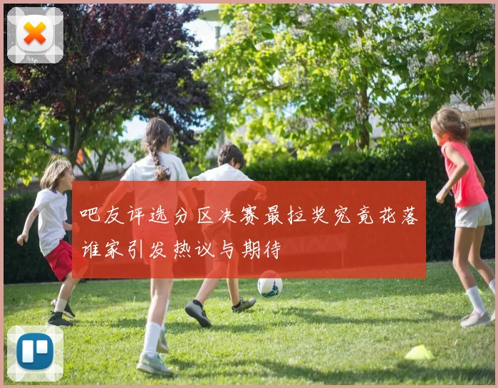 吧友评选分区决赛最拉奖究竟花落谁家引发热议与期待